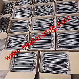 500pcs مشتری آبگرمکن غوطه وری بنگلادش آماده است